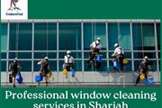 professional window cleaning s en Toronto