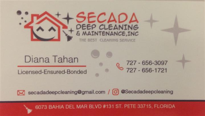 Secada deep cleaning image 5