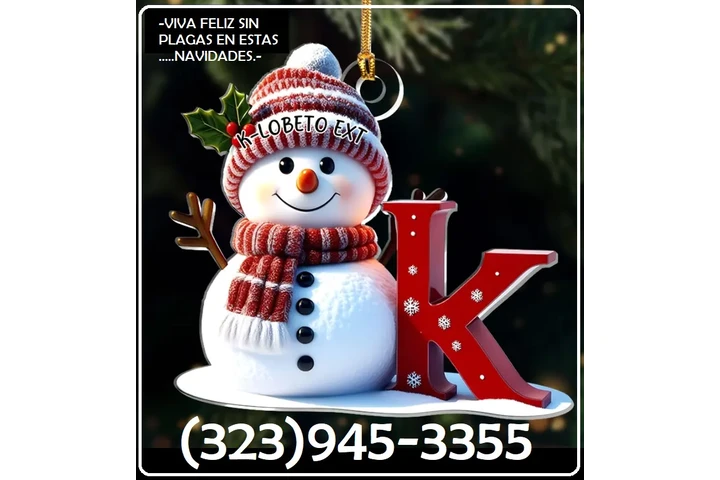 FUMIGACION RATONES REPARACION image 10