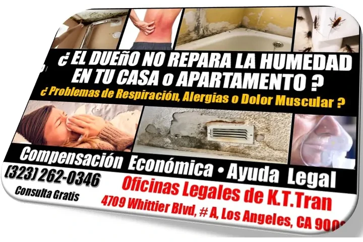 🔥ESTA ENFERMO?HUMEDAD?LLAME💵 image 1