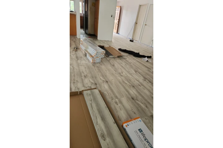 Interior and exterior remodeli image 7