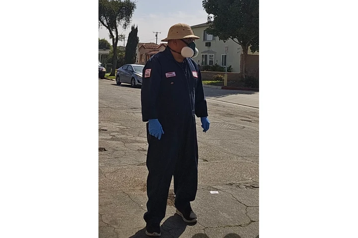 Fumigation - local treatment. image 9