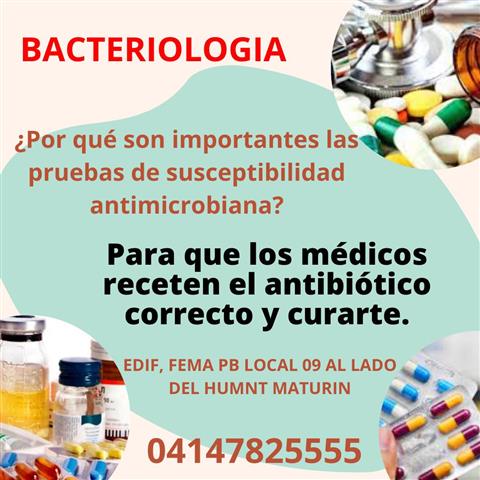 Bacteriología image 7