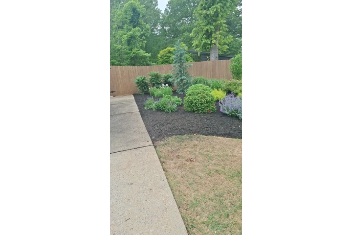 Professional Landscaping image 7