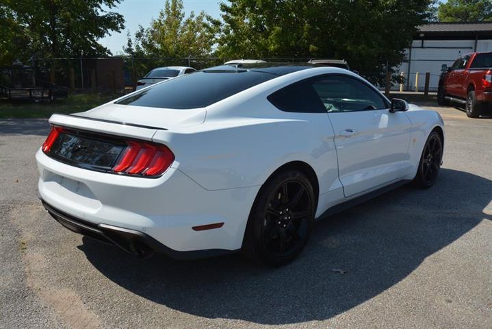 2019 Mustang EcoBoost image 6