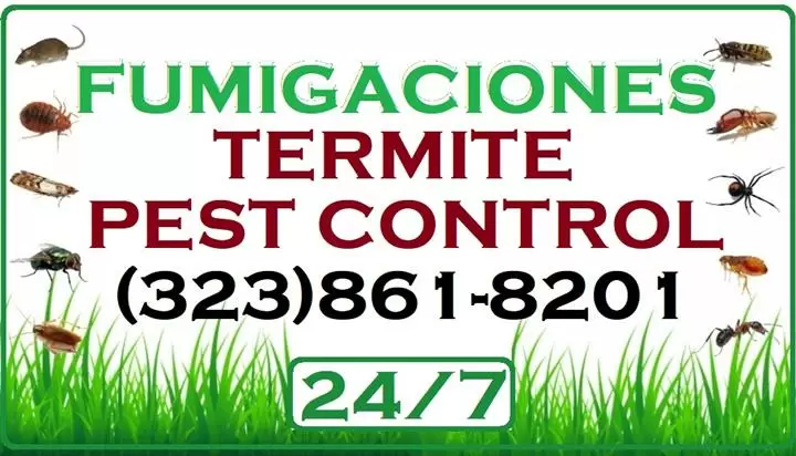 FUMIGACIONES TERMITE*BUGS image 1