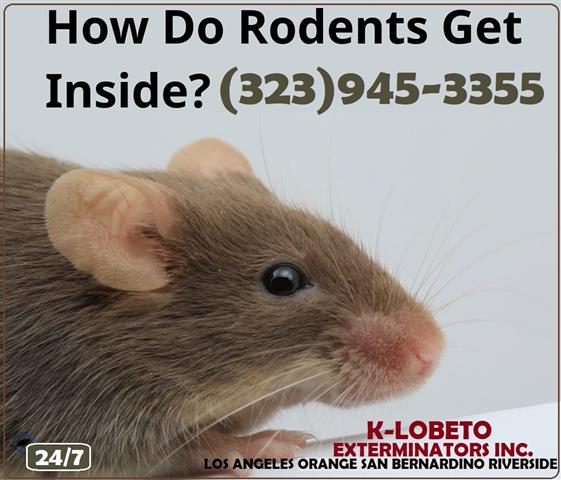 "PROFESSIONAL RODENT SERVICES" image 9
