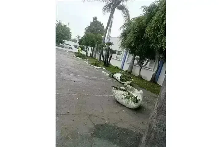 CANALEZ GARDENING SERVICES image 5