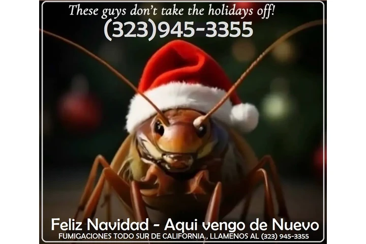 Fumigaciones Navideñas 2025.- image 4