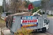 ANTONIO'S HAULING DEMOLITION thumbnail 4