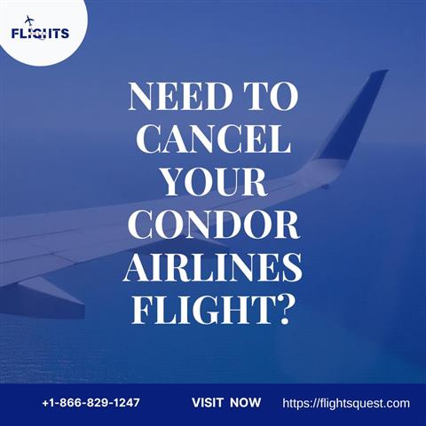 Condor cancellation policy image 1