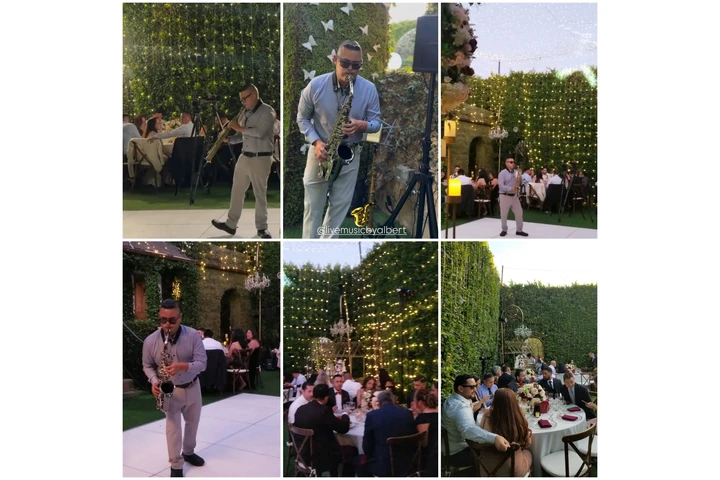 Saxofonista Para Fiestas image 2