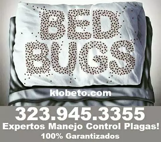 PEST CONTROL SERVICES NEAR ME. image 3