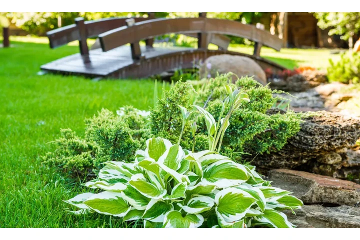 🌿 Landscaping Services  🌳 image 3