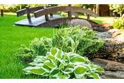 🌿 Landscaping Services  🌳 thumbnail