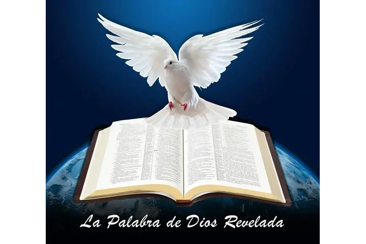Pastor Evangélico Cristiano image 2