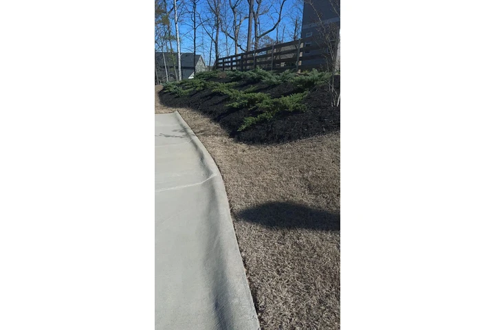 🌵MATÍAS LAWN SERVICES🌵 image 3