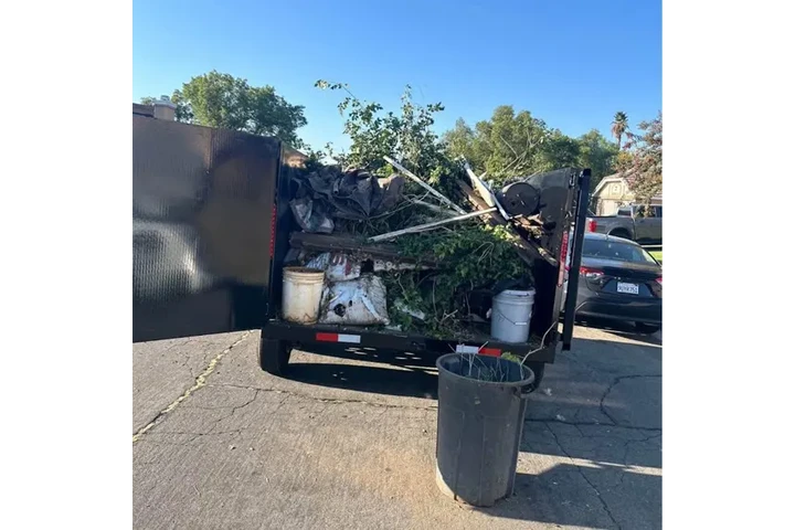 Recogemos su Junk image 1