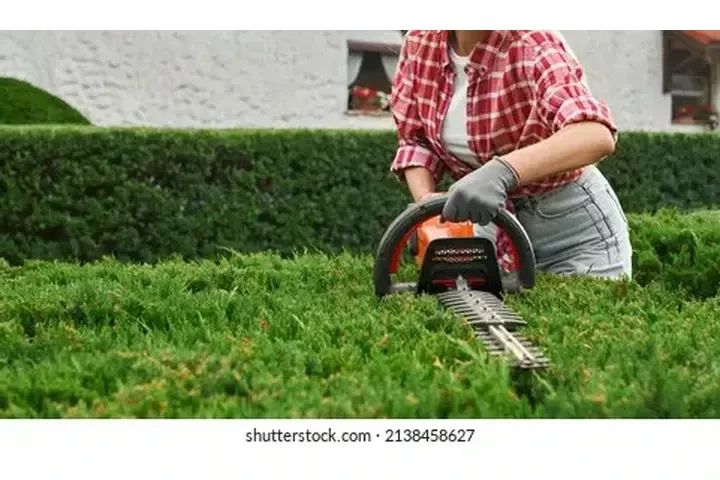 🫵LIMPIEZA,PINTURA, ROOFING image 8