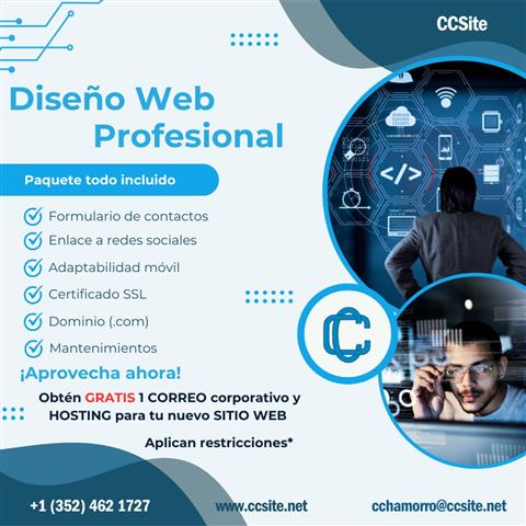 Diseños web profesional image 1