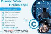 Diseños web profesional en Miami