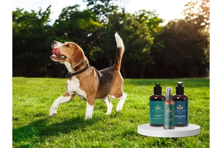 Luxe Pet Australia image 5