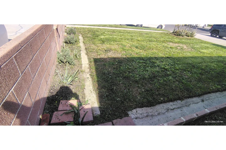 $35 Corte de Pasto $35 image 4