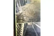 RC LIMPIEZA DE ALFOMBRAS en San Bernardino