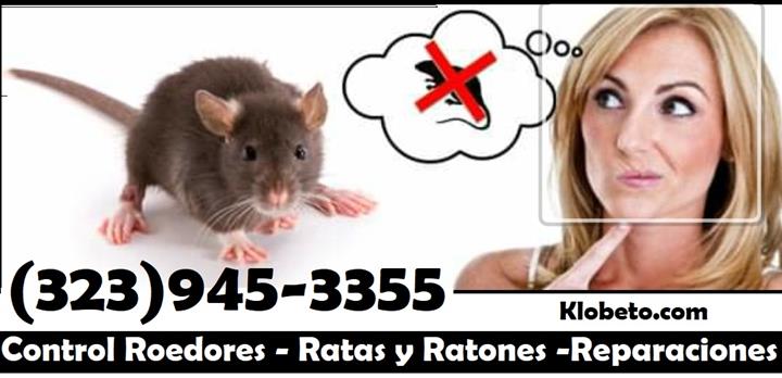 RODENT CONTROL (323)945-3355 image 2