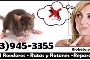 RODENT CONTROL (323)945-3355 thumbnail