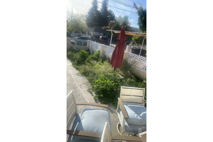 Corte de pasto 🏡$35 image 9