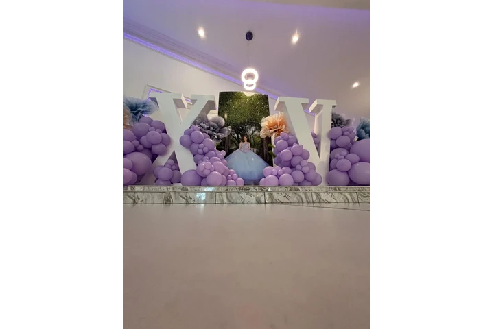 Salon de fiestas 100 a 300 image 9