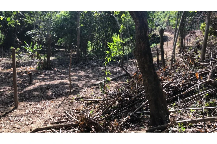 $550000000 : Terreno en venta Santa Marta image 9