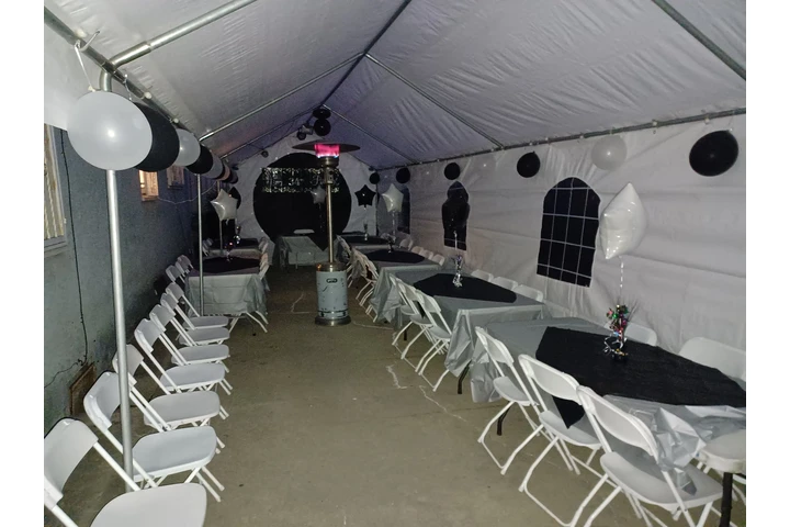 CARPAS TOROS MECANICOS BANOSSS image 1