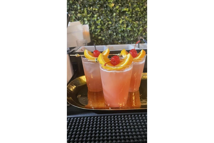 BARTENDER Y MESEROS image 8