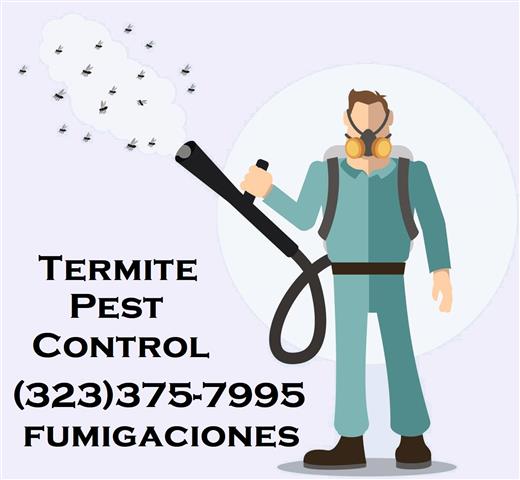 FUMIGADORES PROFESIONALES 24/7 image 1