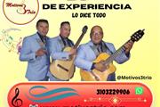 SERENATAS BOGOTA TRIOS thumbnail