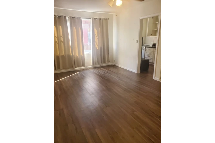 $550 : SE RENTA SALA para señora image 1