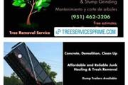 Tree removal tree services en Riverside