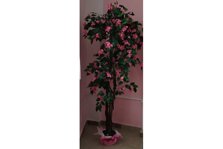 $100000 : 💅 VENDO LOTE  SALÓN DE UÑAS image 7