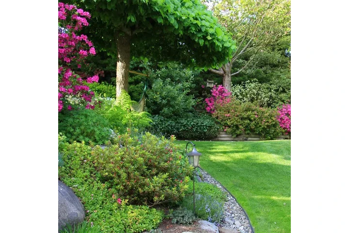 SERVICIO DE JARDINERÍA image 5