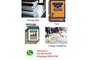 Taller de Tesis, Investigación en Lima
