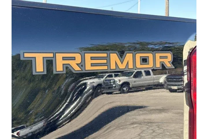 Ford F-250 Super Duty 2024 4 image 5