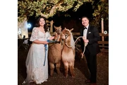 Reptacular Ranch - Eventos en Los Angeles