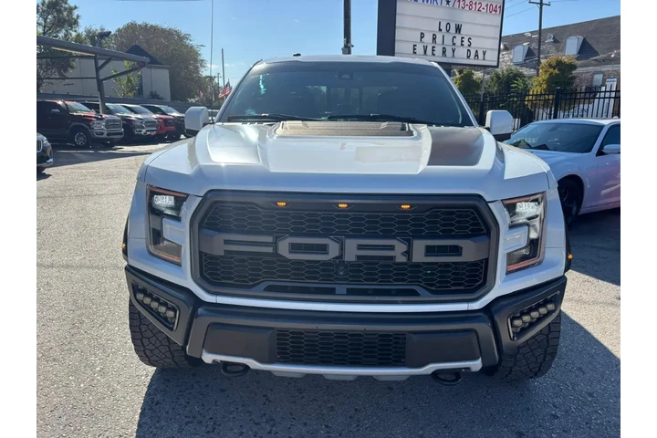 2018 F-150 Raptor image 2