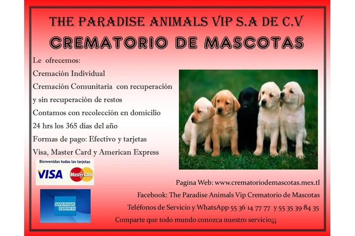 Crematorio de Mascotas image 1