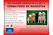 Crematorio de Mascotas en Ecatepec de Morelos