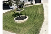 🌿 Lawn Care & Landscaping 🌿 thumbnail