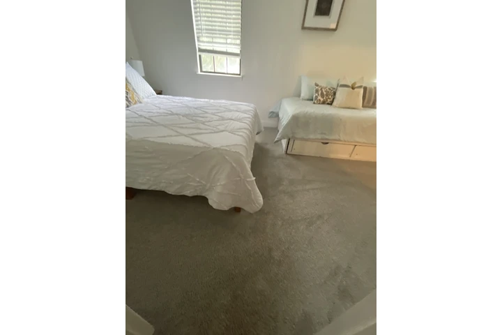 Deysi cleaning image 1