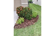 LANDSCAPING AND LANW CARE. en Tampa